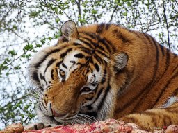 Tiergarten Schönbrunn am 23.03.2023